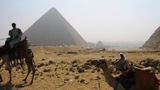 egypt desert pyramid giza camel